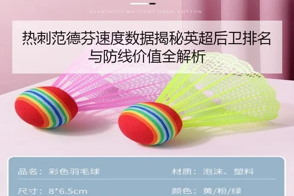 热刺范德芬速度数据揭秘英超后卫排名与防线价值全解析
