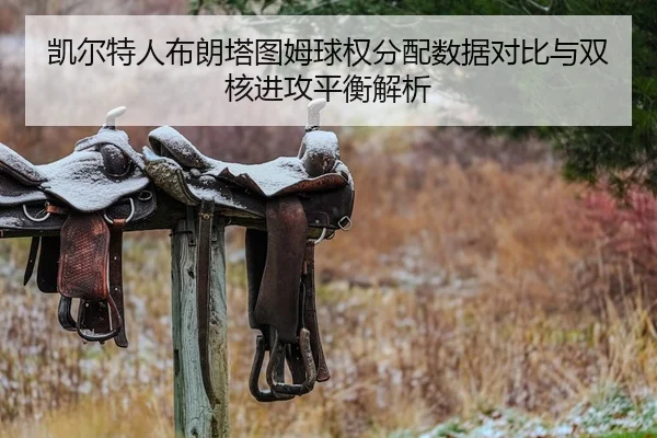 凯尔特人布朗塔图姆球权分配数据对比与双核进攻平衡解析