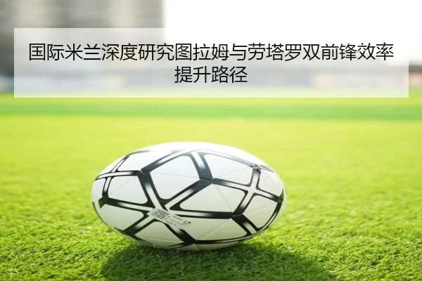 国际米兰深度研究图拉姆与劳塔罗双前锋效率提升路径 - leyu